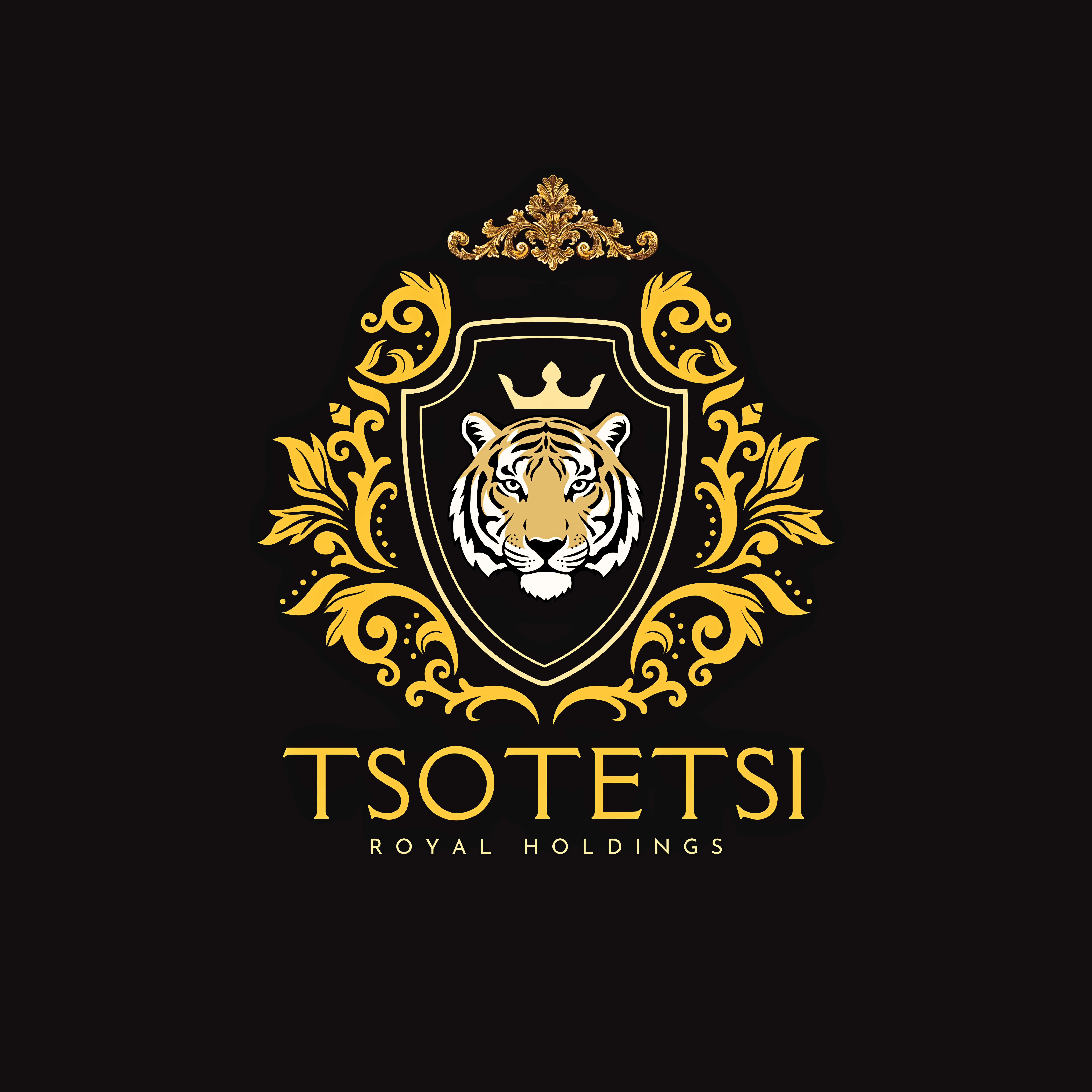 tsotetsiroyalholdings.co.za